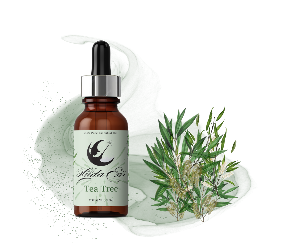 اسانس طبیعی درخت چای (Tea Tree Essential Oil)