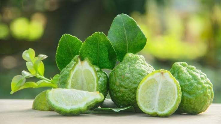 برگاموت در عطرسازی چیست؟ بررسی رایحه، خواص، ترکیبات و کاربرد اسانس برگاموت