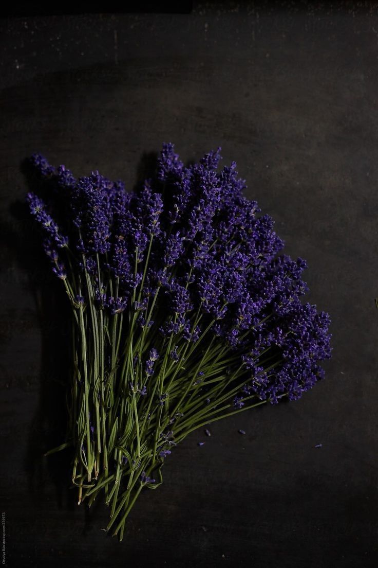 اسطوخودوس در عطرسازی؛ بررسی رایحه، ترکیبات شیمیایی و تفاوت لاواندین با اسطوخودوس واقعی