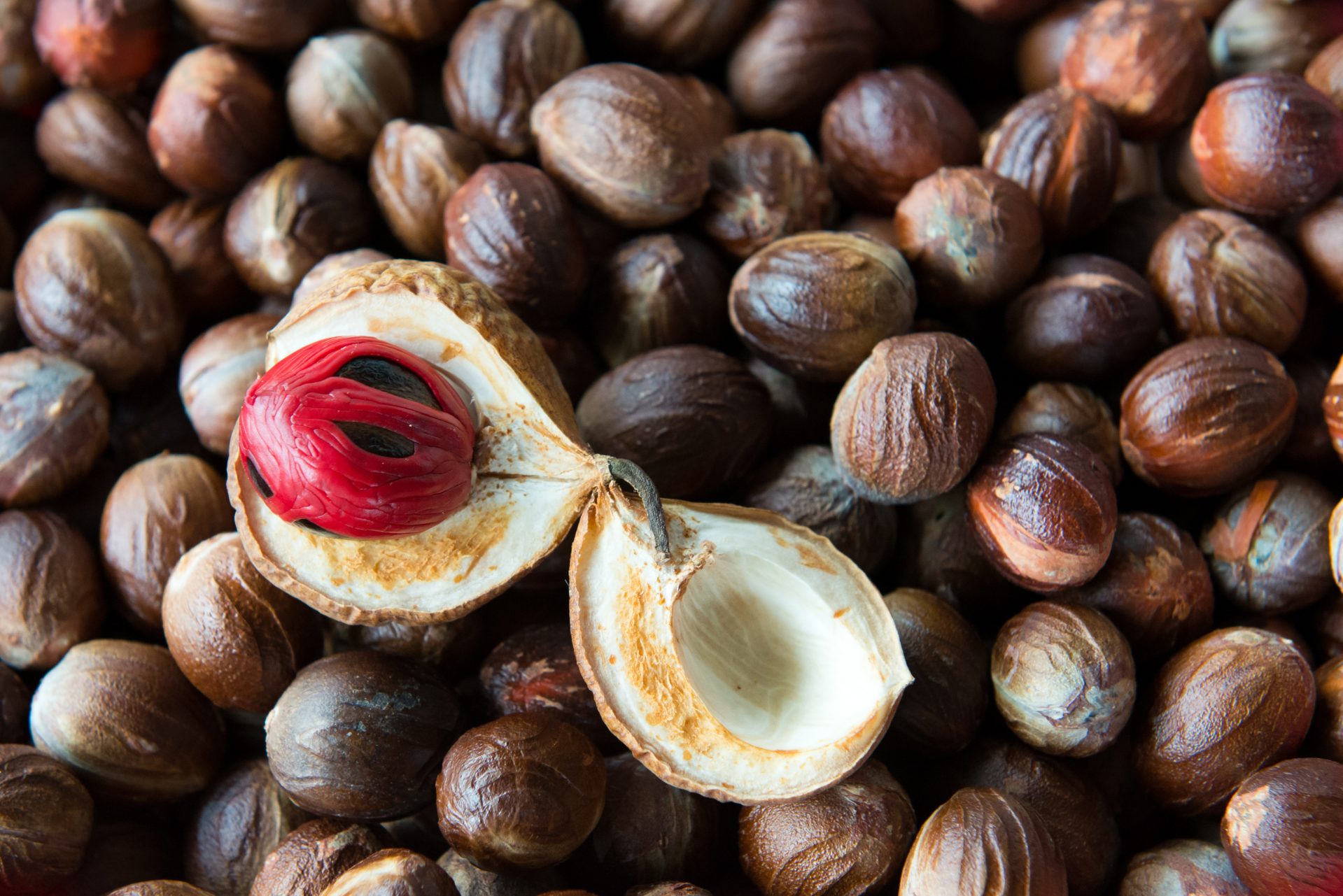 جوز هندی و کاربرد آن در عطرسازی
