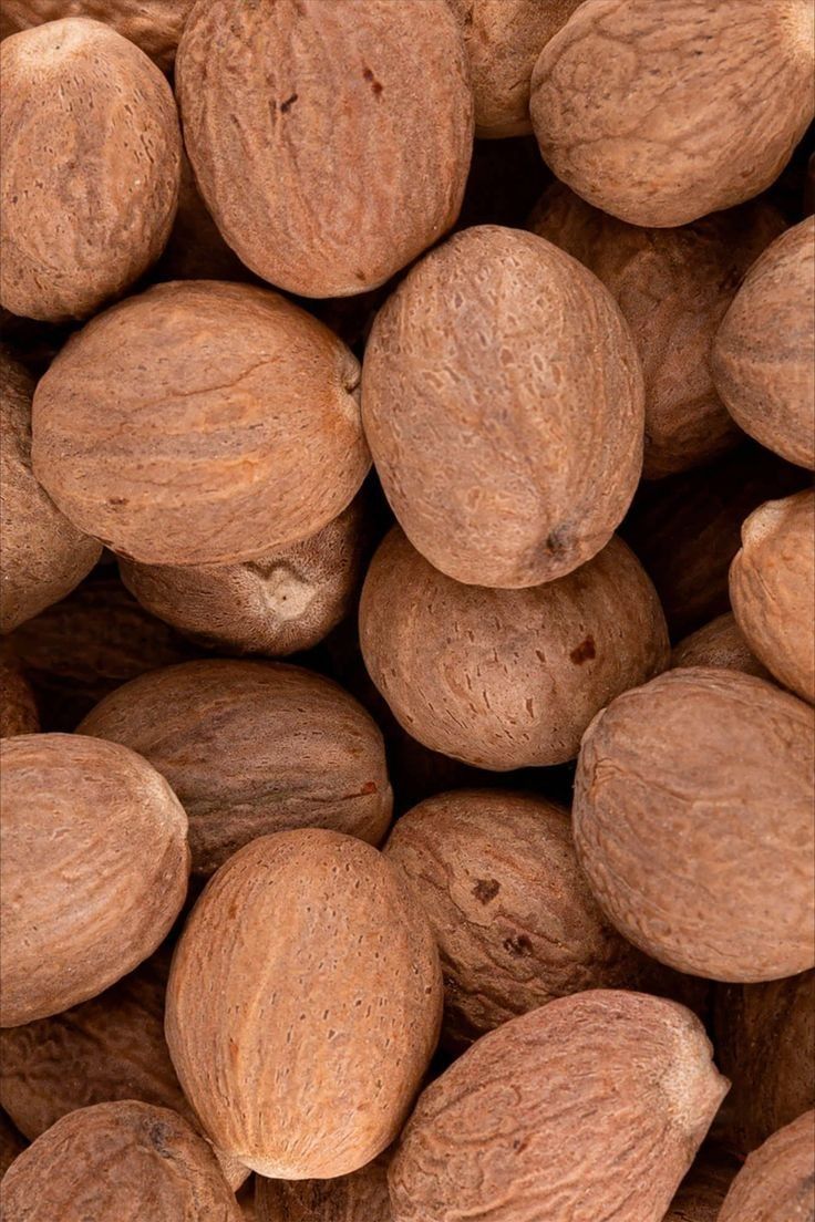 معرفی جامع جوز هندی