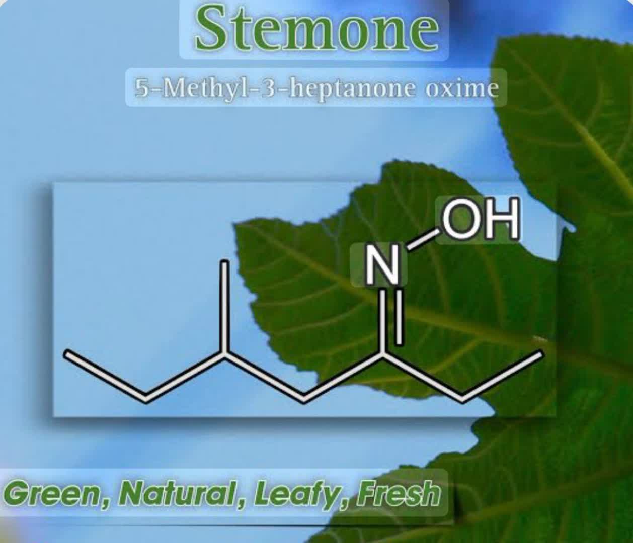 استمون ( stemone )