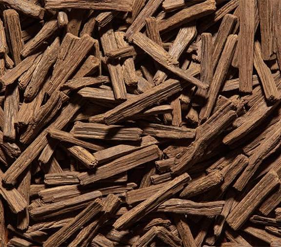 عود (Agarwood) چیست؟ بررسی رایحه، انواع عود و کاربرد آن در عطرسازی
