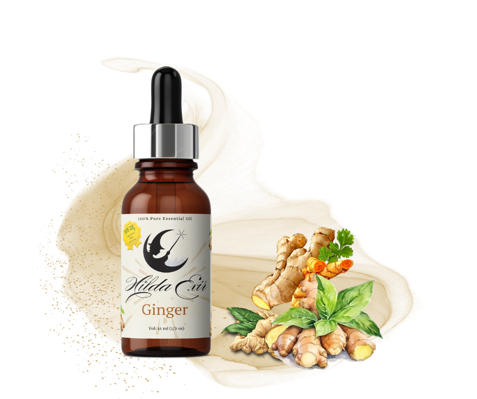 عصاره فوق بحرانی زنجبیل (Ginger Supercritical Extract)