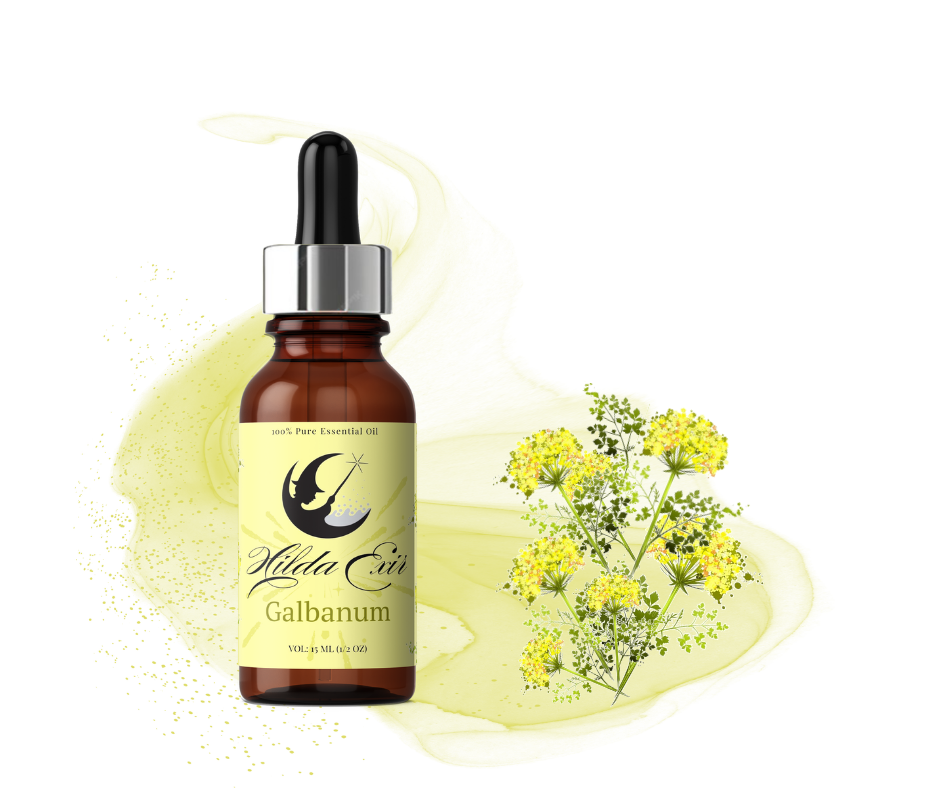 اسانس طبیعی باریجه (Galbanum Essential Oil)
