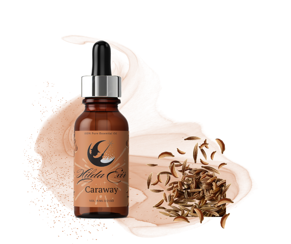 اسانس طبیعی زیره سیاه (Caraway Essential Oil)